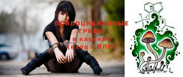 apvp Абаза