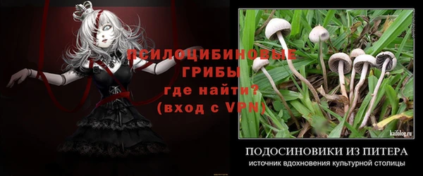 apvp Абаза